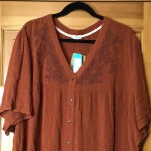 Rust Blouse with Embroidered Details